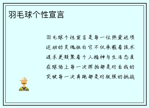 羽毛球个性宣言