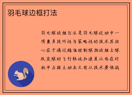 羽毛球边框打法