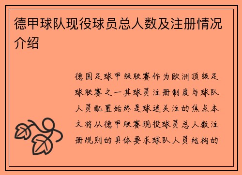 德甲球队现役球员总人数及注册情况介绍