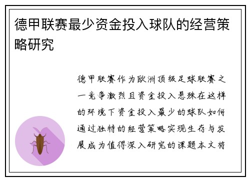 德甲联赛最少资金投入球队的经营策略研究